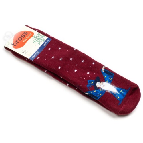 Шкарпетки дитячі Bross махрові з чарівником (10196-4-darkred)