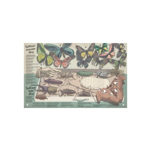 Книга Найвища гора, найглибший океан - Кейт Бейкер Ранок (9786170966391)