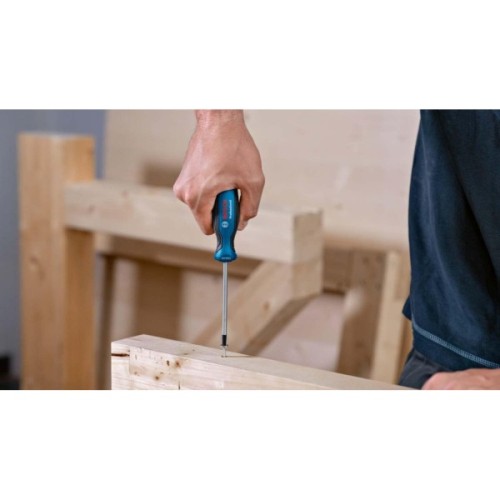 Викрутка Bosch T10x75мм (1.600.A01.V0A)