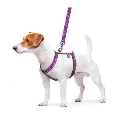 Шлея для собак WAUDOG Nylon анатомічна H-подібна з QR-паспортом "Око монстра" пластиковий фастекс, L (345-4049)