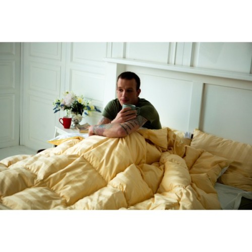 Ковдра MirSon пухова Carmela 032 деми 200x220 см (2200000003973)