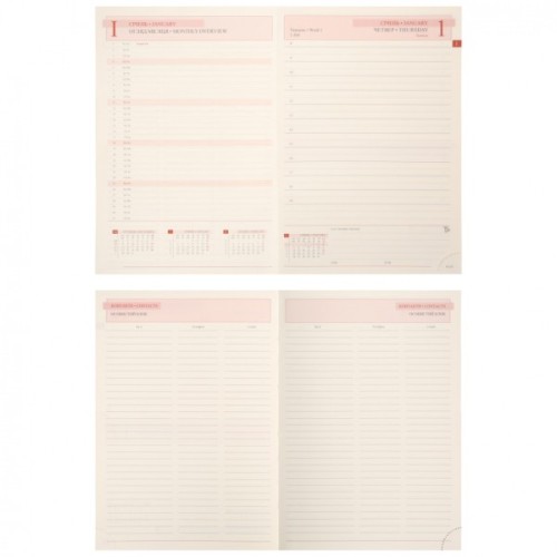 Тижневик Leo planner А5 датований 2026 "Credo", інтегральний, бордовий, 368 сторінок (252645)