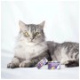 Паштет для котів Comfy Appetit Premium Mousse з перепілкою для стерилізованих 85 г (5905546345682)