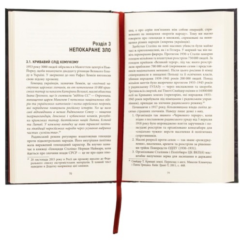Книга Геноцид ХХІ. Війна на знищення української нації - Віра Валлє Фабула (9786175222133)