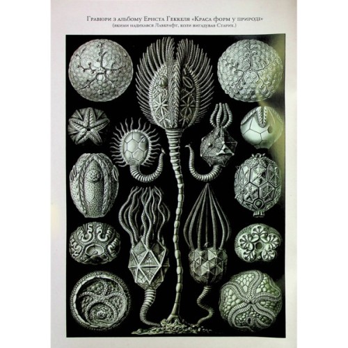 Книга Путівник по горах божевілля - Богдан Стасюк Varvar Publishing (9789667616588)