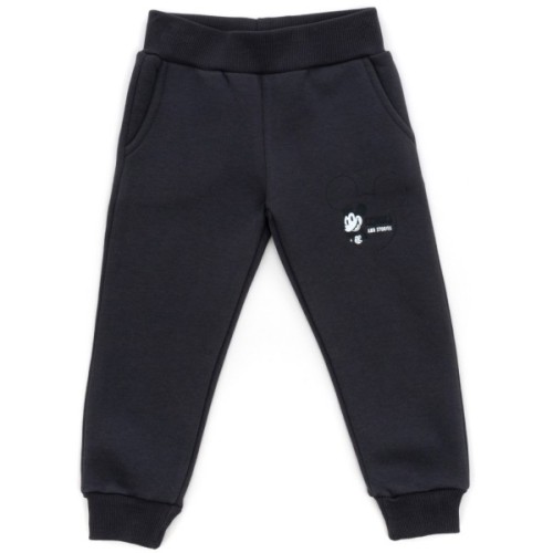 Спортивний костюм дитячий Smile флисовий (23163-110B-gray)