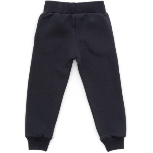 Спортивний костюм дитячий Smile флисовий (23163-110B-gray)