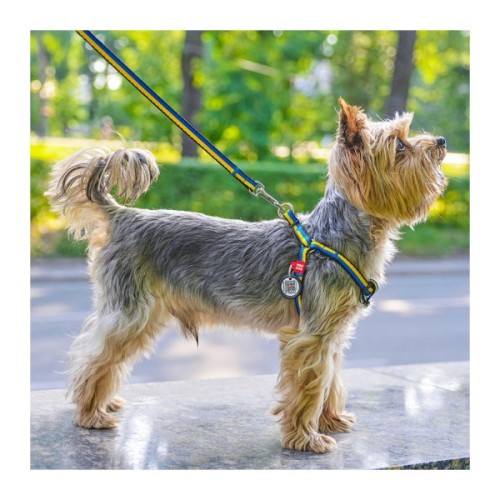 Повідець для собак WAUDOG Nylon "Colors of freedom" L-XXL 25 мм х 122 cм (4925-4020)