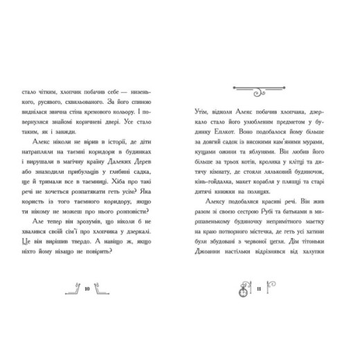 Книга Гонитва у часі - Саллі Ніколлз Ранок (9786170973344)