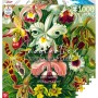 Пазл GoodLoot Imagination: Orchid Ernst Haeckel 1000 ел. (5908305247531)