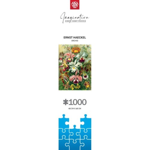 Пазл GoodLoot Imagination: Orchid Ernst Haeckel 1000 ел. (5908305247531)