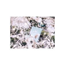 Гральні карти Noc Winter Edition (Glacier Ice) (PC_NWECI)