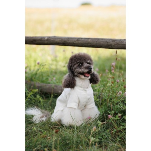 Футболка для тварин Pet Fashion Ostap XS (4823082439263)