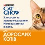 Вологий корм для кішок Purina Cat Chow Adult з лососем і зеленою квасолею 85 гх10 шт (7613036596039)