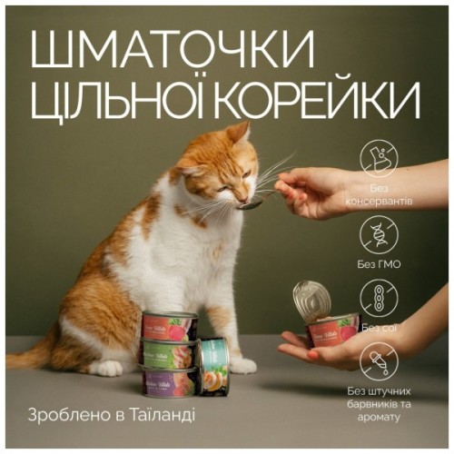 Консерви для котів Savory філе тунця з макреллю в желе 70 г (4820261920970)