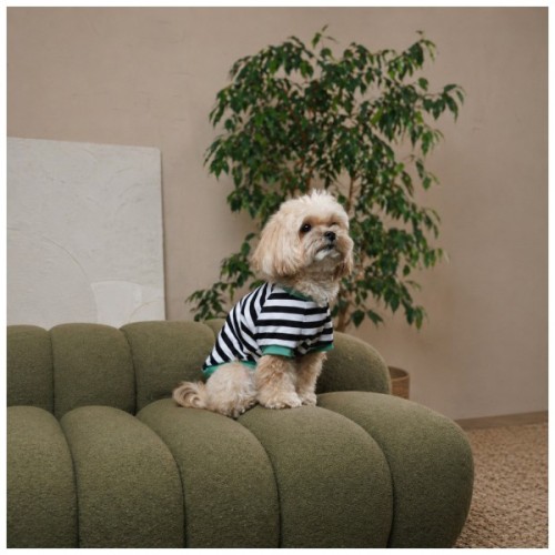 Футболка для тварин Pet Fashion Breeze М (4823082445783)