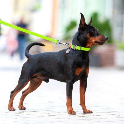 Повідець для собак WAUDOG Waterproof L-XXL Ш 25 мм Д 305 см салатовий (27345)