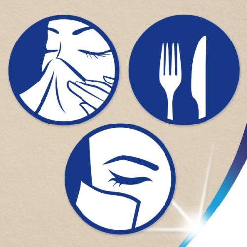 Серветки косметичні Zewa Softis Natural Soft 80 шт. (7322541351414)