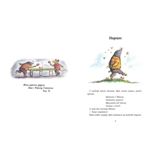 Книга Миш і Кріт зустрічають несподіванки - Джойс Данбар Ранок (9786170994554)