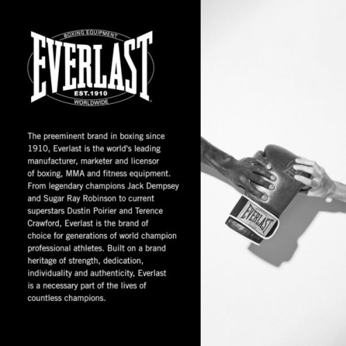 Боксерські рукавички Everlast 1910 Classic Training Glove P00002503 коричневий 16 унцій (009283610326)