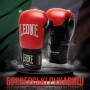 Боксерські рукавички Leone GN383 Thunder Red 8 унцій (GN383_Red_8oz)