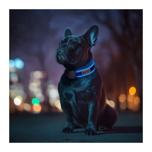 Нашийник для тварин WAUDOG з підсвічуванням LED "NASA21" S-M (272-0148)