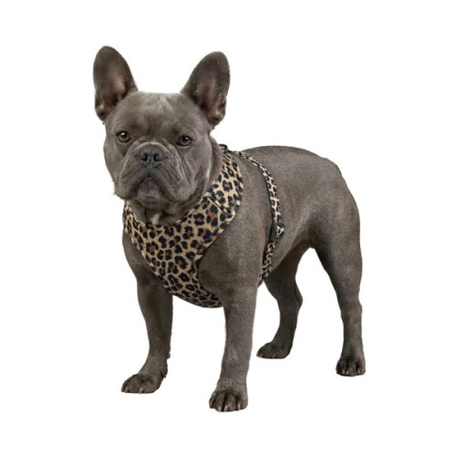 Шлея для собак WAUDOG Mesh дихаюча з QR адресником "Леопард" S (233-4066)