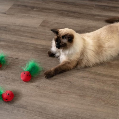 Іграшка для котів Catstages Полунички з пір'ям і м'ятою (0700603703949)