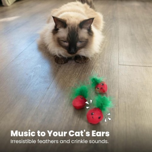 Іграшка для котів Catstages Полунички з пір'ям і м'ятою (0700603703949)