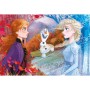 Пазл Clementoni Frozen II, серія MAXI, 24 елементи (26452)