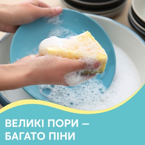 Губки кухонні Pani Blysk Пористі 5 шт. (4823071661194)