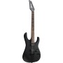 Електрогітара Ibanez RGRT421 WK (226617)