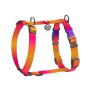 Шлея для собак WAUDOG Nylon Recycled анатомічна H-подібна з QR-паспортом, градієнт, S помаранчева (52864)