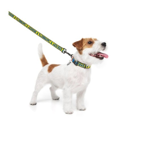Нашийник для тварин WAUDOG Nylon з QR паспортом "Сміливість" пластиковий фастекс XXL (284-0231)