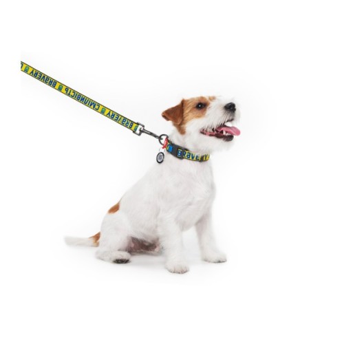 Нашийник для тварин WAUDOG Nylon з QR паспортом "Сміливість" пластиковий фастекс XXL (284-0231)