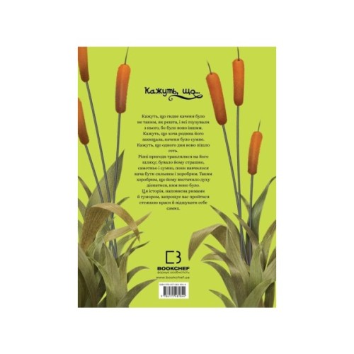 Книга Кажуть, що... гидке каченя - Моніка Лопес і Валерія Давіла BookChef (9786175481844)