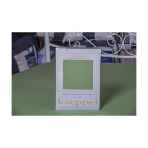 Простирадло Billerbeck трикотажне на резинці оливковий 100х200 см (1671-Е32)