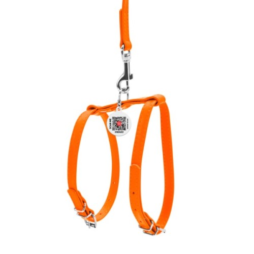 Шлея для собак WAUDOG Glamour з повідцем шкіряна Ш 9 мм А 20-30 см В 30-40 см помаранчева (33994)