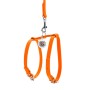 Шлея для собак WAUDOG Glamour з повідцем шкіряна Ш 9 мм А 20-30 см В 30-40 см помаранчева (33994)