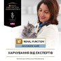 Вологий корм для кішок Purina Pro Plan Veterinary Diets NF Renal Function Advanced Care При патології нирок З лососем 10 x 85 г (7613287873699)