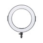 Набір блогера PowerPlant Ring Light RL-288A LED (RL288A)