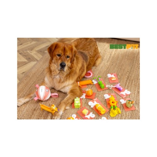 Іграшка для собак MISOKO&CO Пляшки апельсинового соку 12 см (BEIRJ03706)