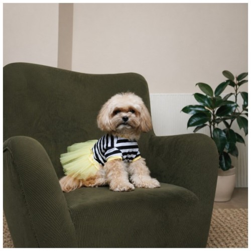 Сукня для тварин Pet Fashion Liana XS (4823082445905)