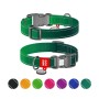 Нашийник для тварин WAUDOG Nylon Mono з QR паспортом, пластиковий фастекс XL зелений (521618)