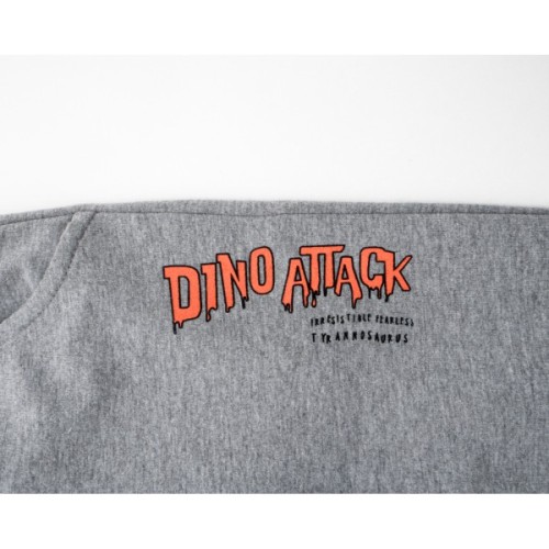 Спортивний костюм дитячий Breeze з динозавром (22167-98B-mint)