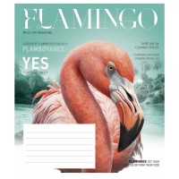 Зошит Школярик Fauna magazine 12 аркушів лінія (012-3428L)