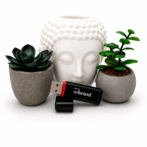 USB флеш накопичувач Wibrand 32GB Scarab Black USB 3.2 (WI3.2/SC32P11B)