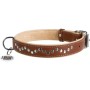 Нашийник для тварин WAUDOG Soft з QR паспортом металічні прикраси S коричневий (7197)