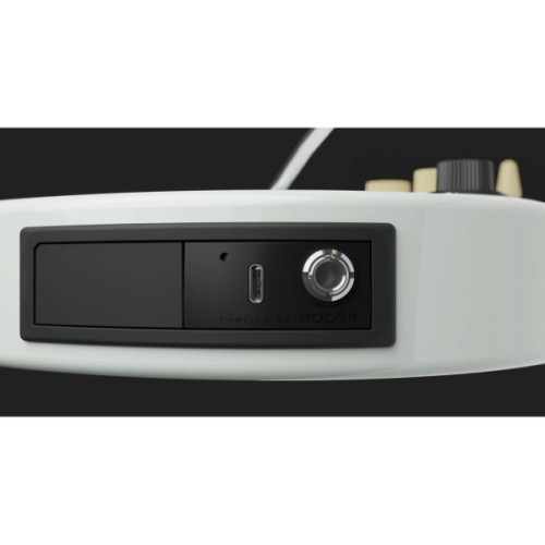 Електрогітара Mooer GTRS Standard S801 White