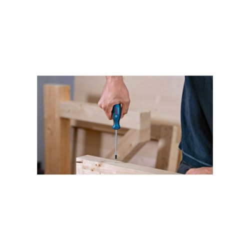 Набір викруток Bosch Torx 6шт, T10х75, T15х75, T20x100, T25x100, T30x125, T40x125 мм (1.600.A01.V09)